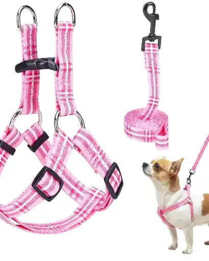 Juego de arnés y correa para perro pequeño sin tirones
