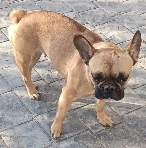 ¡La maravillosa Lila!